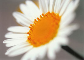 Zurck zur Startseite